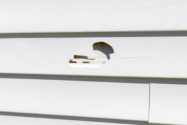 Affordable siding repair and maintenance services in Sea Breeze, NC